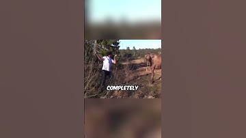 This is What Happens When Human Primal Instincts Kick In! 😱