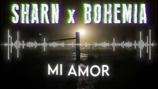 SHARN X BOHEMIA | Mi Amor | Slowed Reverb Visualizer #bohemia #sharn #miamor #punjabisong #trending