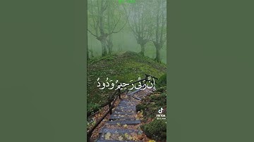 الآية 90 من سورة هود