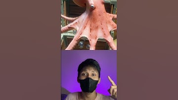 Thumbnail of Gurita terlepas ketika di potong #facts #science #automobile #animals #wildlife #experiements