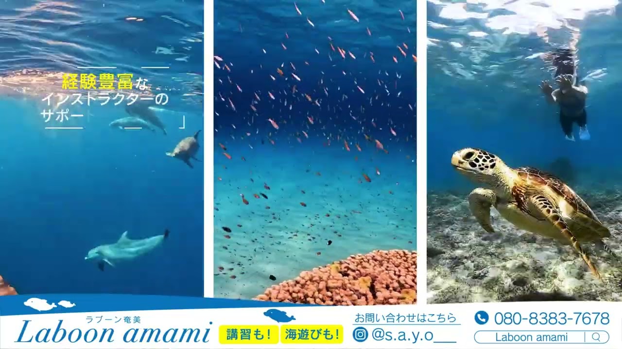 奄美大島】感動クルーザー新造計画 - CAMPFIRE (キャンプファイヤー)