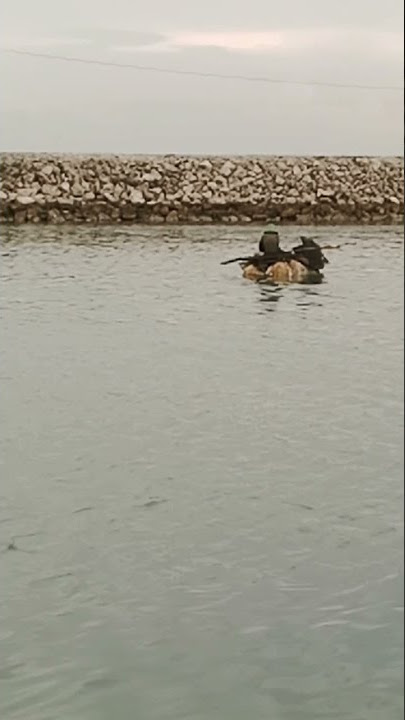 Mencari kepiting menggunakan pelampung