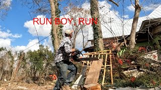 FELLING BIG OAK TREE NEXT TO THE OLD BYRD HOUSE | NERVE-WRACKING | WHAT COULD POSSIBLYY GO WRONG??