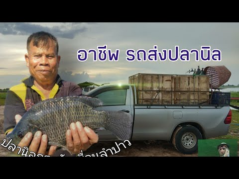 วีดีโอ: วิธีการขนส่งปลา