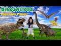 Lagu populer  dinosaurus  lagu anak dinosaurus  lagu anak indonesia
