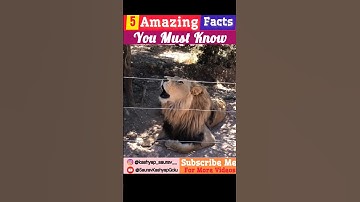 Amazing Facts You Must Know Part - 4 | #shorts #factsinhindi #trending #facts  @stubbornfacts