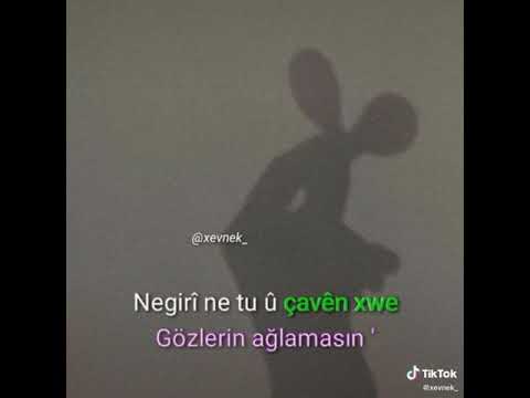 Negirî ne tu  û çavên xwe ezê dîsa ji te hezbikim....🔥💔