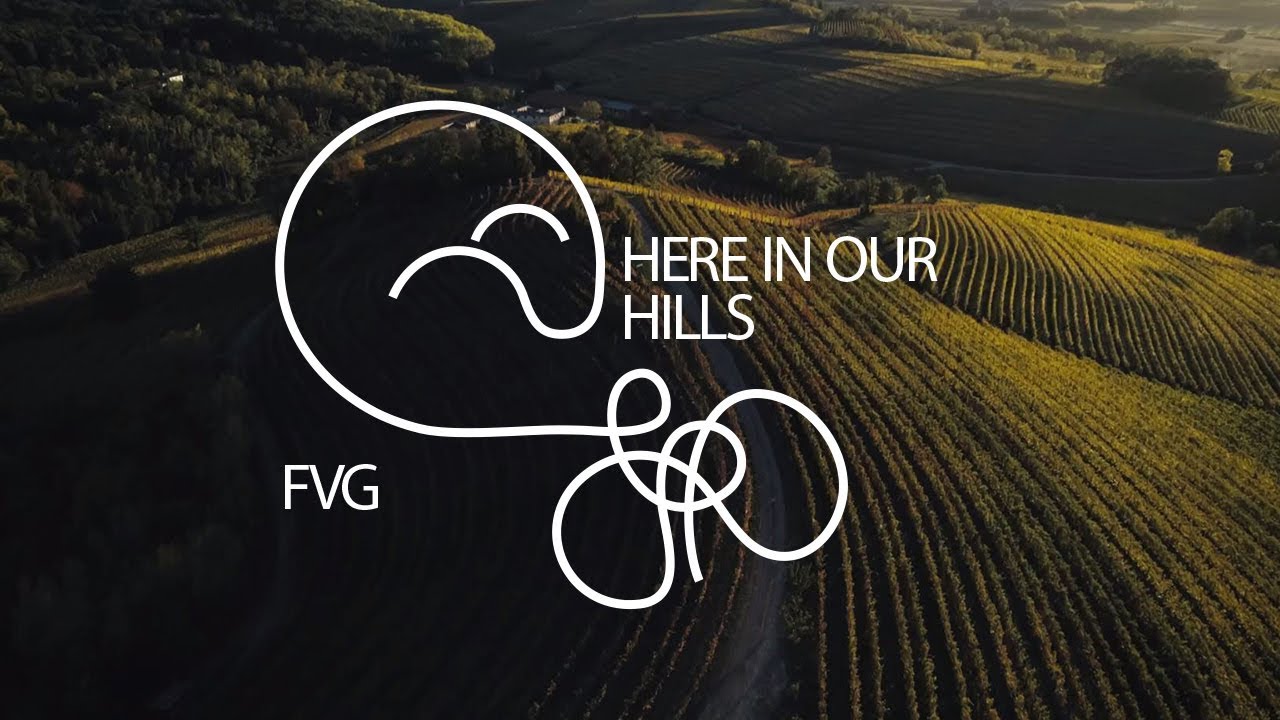 The Friuli Venezia Giulia wine and dine route: Here in our Hills