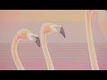 How Real Flamingo Ties Are Made - OTAA.COM