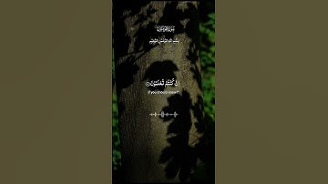 . جمال التلاوة... حين يُصغي القلب قبل الأذن #اكسبلور #ايقنت #المصحف #راحة_نفسية #امطار #لايك