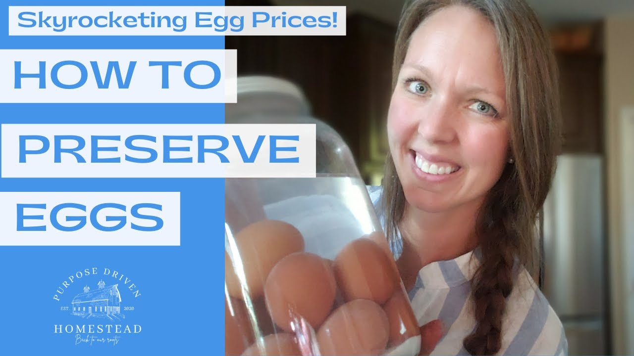 Preserving Eggs Long Term Storage (Water Glassing) YouTube