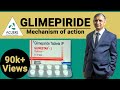 Mechanism of Action -- Glimepiride | Dr. Shantanu. R. Joshi | 2019