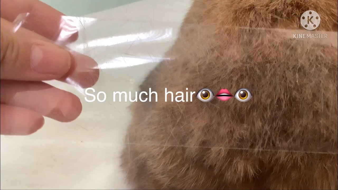 How I deal with my rabbit shedding (so much hair 👁👄👁) 