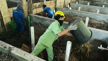 Pengolahan Sampah di Desa Adat Padangtegal: Rumah Kompos Padangtegal