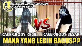 TERBONGKAR!! KELEBIHAN DAN KEKURANGAN KACER BODY KECIL | DR KACER