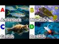 Sea animals for kids | ABC phonics animals | ABC Sea Animals song | English and Animals for Kids