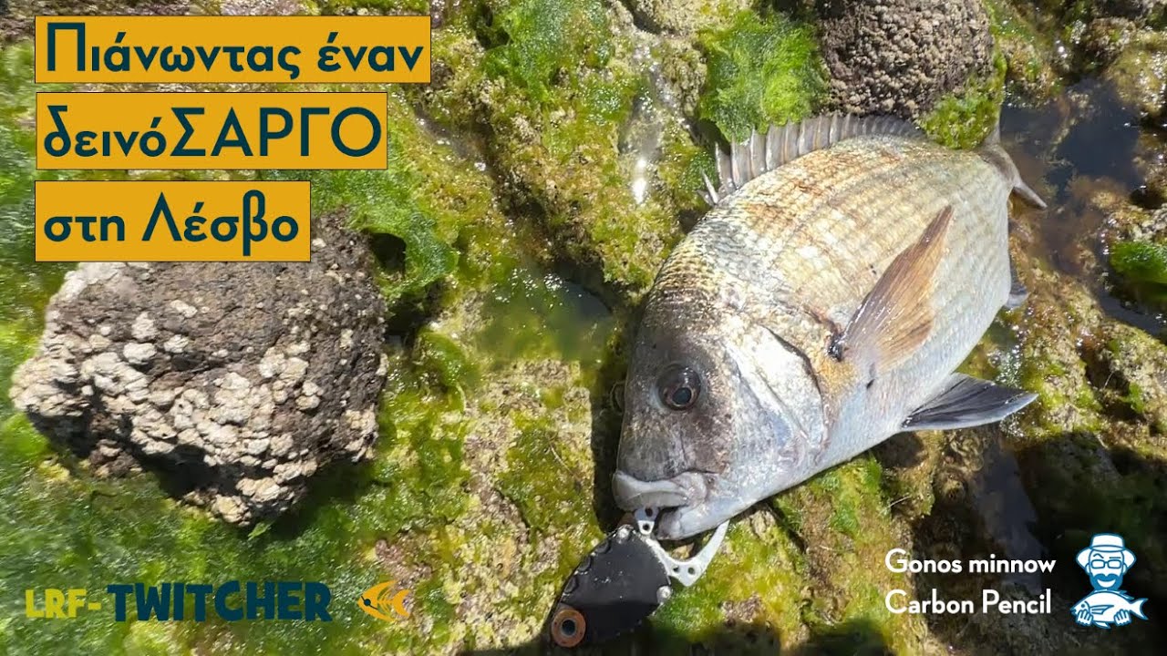 LRF - Ο δεινόΣΑΡΓΟΣ