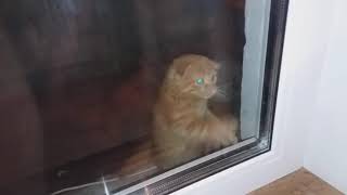 23 Лютого 2020 Р.