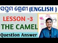 Class 7th 3rd chapter camel Q & A Practice|7th class english the camel question and answer 2025