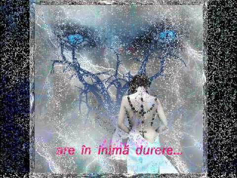 CUVINTE POTRIVITE 2.wmv
