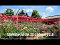【スナップ撮影】おふさ観音 バラ見頃、明日香村 棚田の様子 | 動画 OSMO POCKET 4、写真 Nikon ZR & TAMRON 35-100,16-30mm F2.8