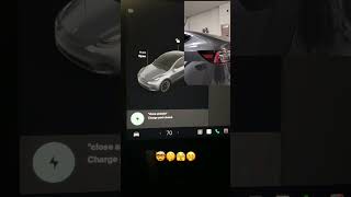 Tesla “Nsfw/Dirty” Voice Commands. Cover The Kids’ Ears.