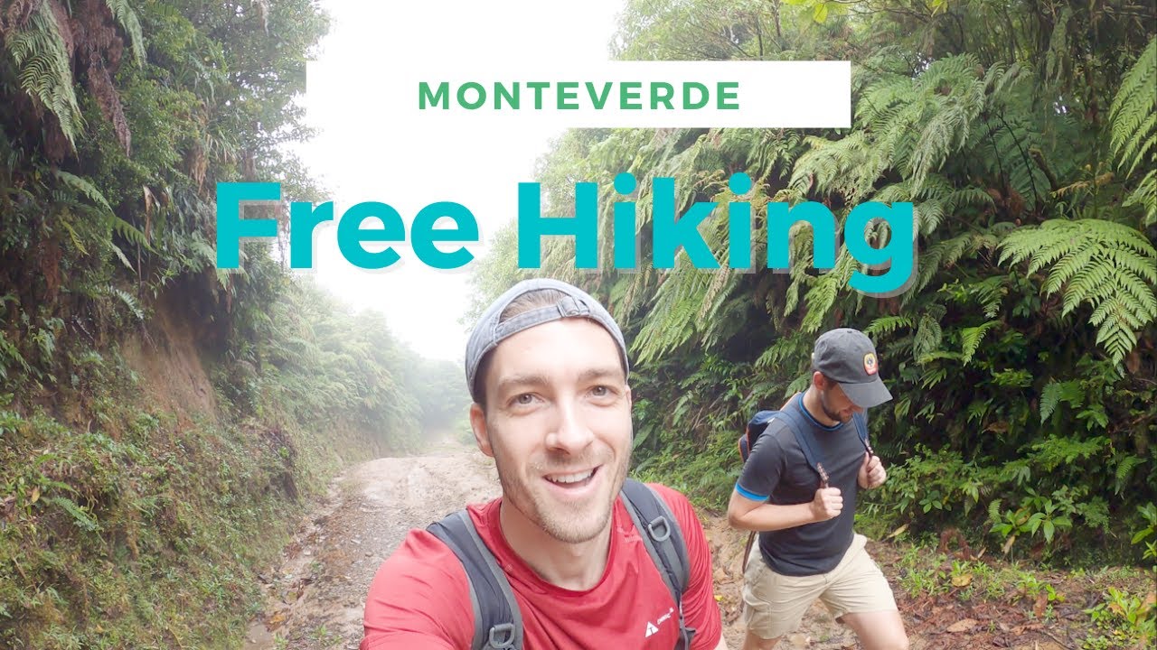 Monteverde - cheap hostels and free hikes 🇨🇷