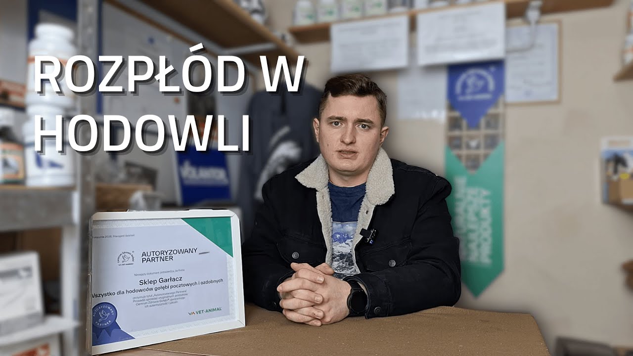 ROZPŁÓD - NA CO ZWRÓCIĆ UWAGĘ?