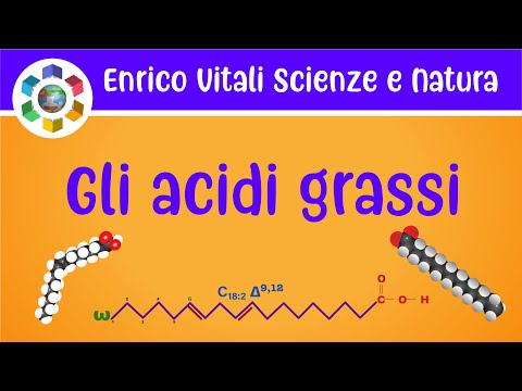 Video: Qual è l'acido grasso cis?