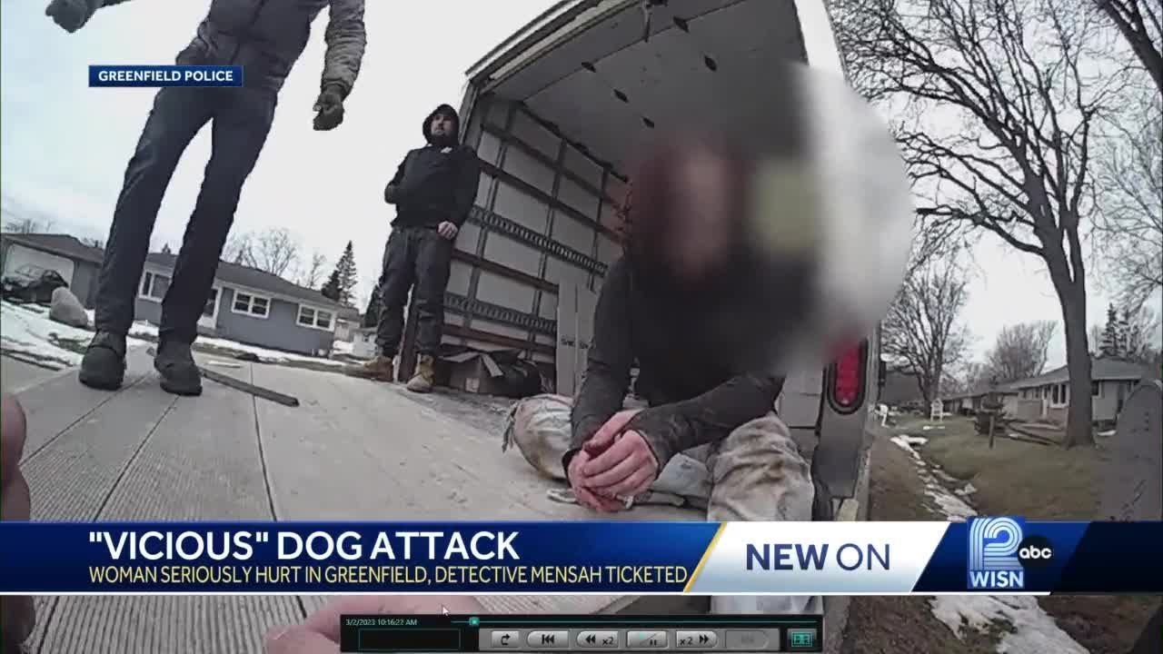 'Vicious' dog attack YouTube