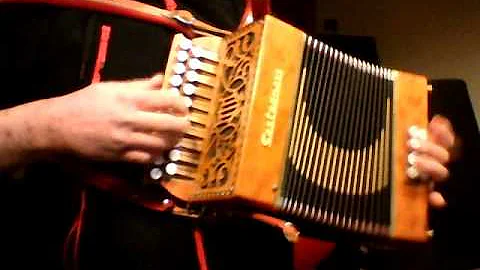 diatonic accordion castagnari A D