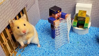 🐹Hamster Escapes Minecraft Prison Maze 🐹 Best of Minecraft Hamster Homa 🛑Live Stream Obstacle Course