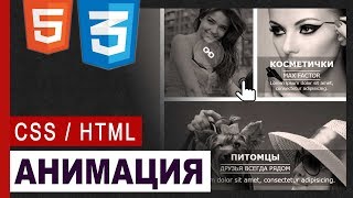 CSS3 Animation hover effect | Практика CSS / HTML5 CSS3 Animation hover effect | Практика CSS / HTML5