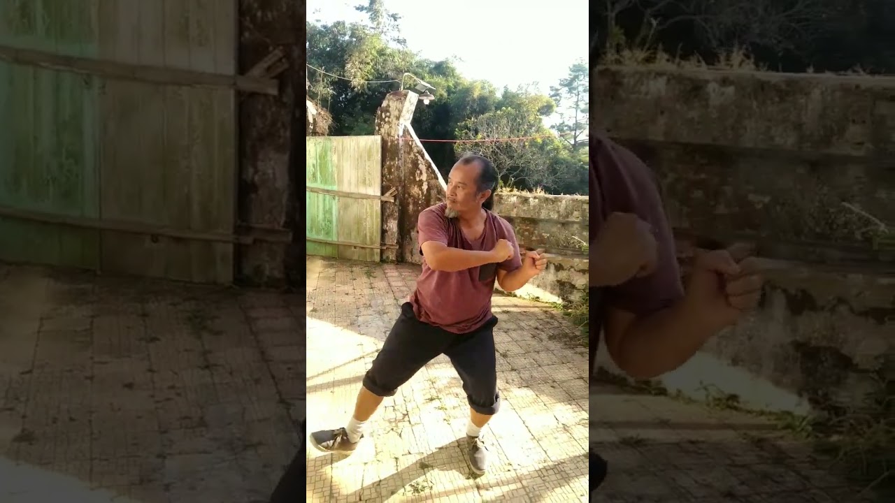 Part 1: Dragon and Monkey Kung-fu Form Combination 