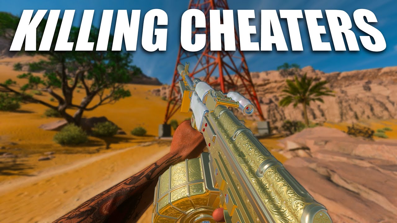 Убийство читеров в DMZ (часть 2)