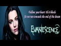 Evanescence: The best. Imaginary