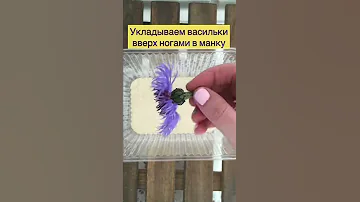 Как сушить васильки.