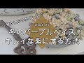 【Vlog416】【多肉植物】冬のパープルヘイズ