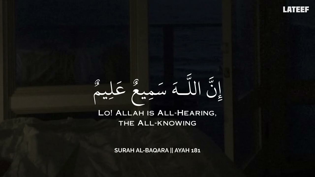 رح سمعك وقلبك بالقرآن❤️🎧 وأستمع لتلاوة هادئه بصوت محمد هشام | راحة نفسية😌 | Mohamed Hesham