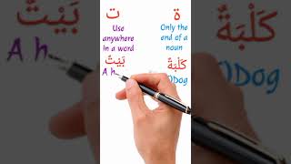 Learn the difference between the open and closed "taa" #shorts #arabicgrammer #arabic #learnarabic