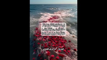 سورة النساء ٢٦ #قرآن #قرآن_كريم #قران #قران_كريم #قرأن #quran