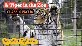 A Tiger In The Zoo / Class 10 / CBSE / English Abaca screenshot 2