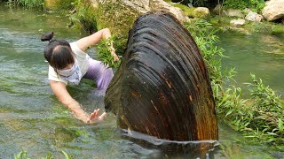 👙Beautiful Girl Adventures to Search for Pearl Clams in the Water, Harvesting Pearls Surprisingly