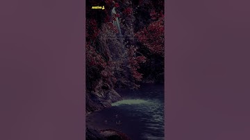 At Talaq (10-11) | Nasser Al Qatami | سورة الطلاق