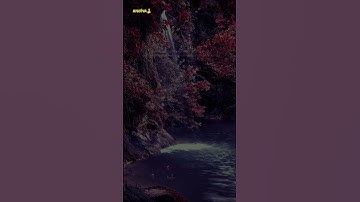 At Talaq (10-11) | Nasser Al Qatami | سورة الطلاق