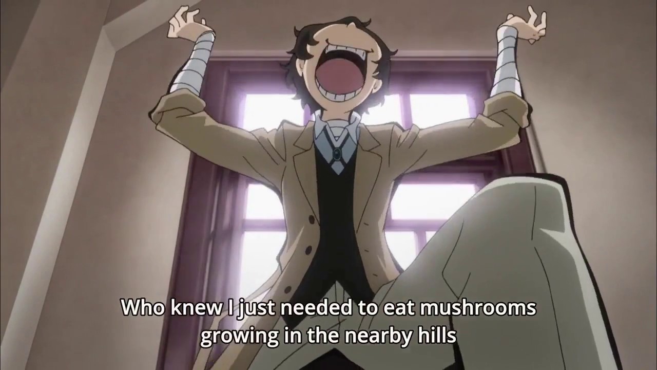 Bungou Stray Dogs ON CRACK!