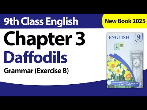 Exercise B