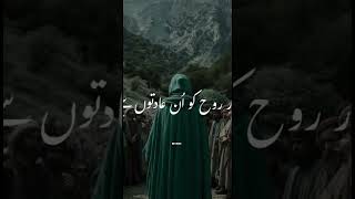 MOLA ALI a.s 🚩🙌🏻💐#NajafAsraf#shia #poetry #karbala #imameraza
