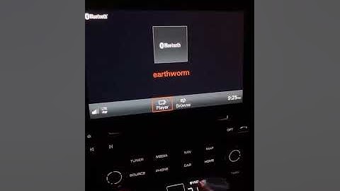 2022-03-21 Despot snippets (earthworm + gabby)