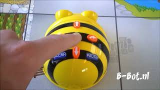 Bee Bot Klein